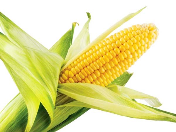 அதிக அளவு ஃபுருக்டோஸ் உடைய கார்ன் சிரப்