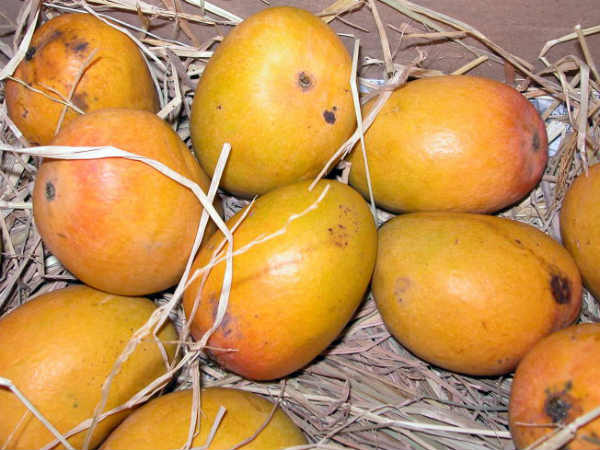 கனிமங்கள் நிறைந்துள்ளது 