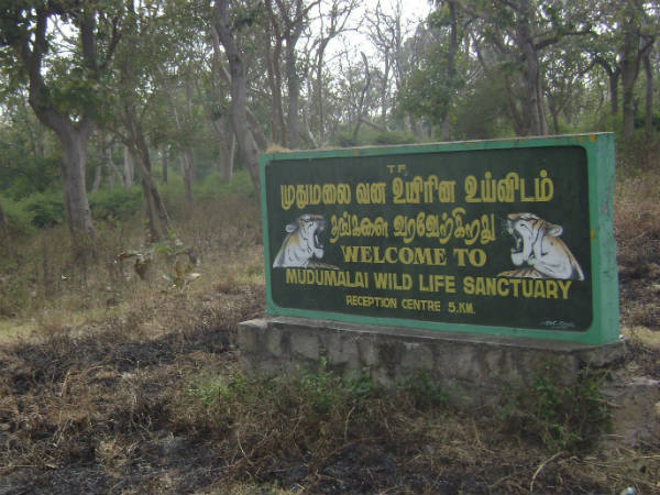 சத்தியமங்கலம் வனவிலங்கு சரணாலயம் 