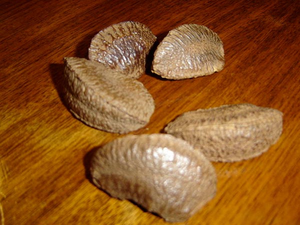 பிரேசில் நட்ஸ்