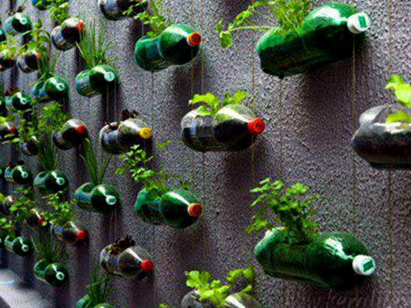 பூந்தொட்டி