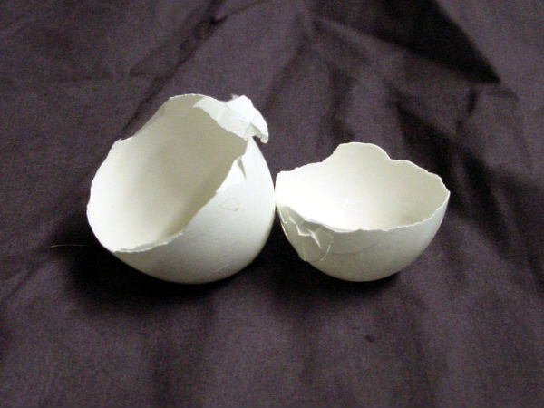 முட்டை ஓடுகள் 