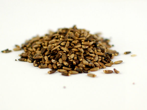 பால் நெருஞ்சில் விதை (Milk Thistle Seeds) பால் நெருஞ்சில் விதை (Milk Thistle Seeds)