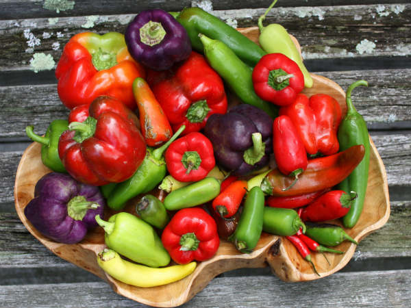 எரிச்சல் இல்லையப்பா!