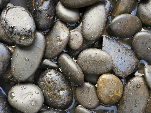 How To Create A Perfect Zen Garden