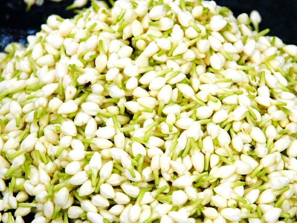 புதிய நறுமணம்! புதிய நறுமணம்!