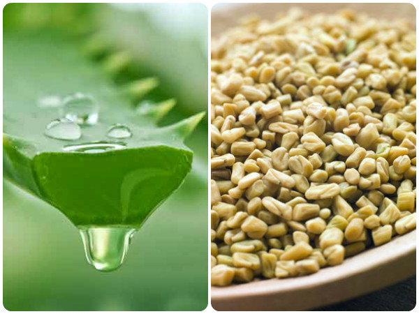 கற்றாழையும், வெந்தயமும்