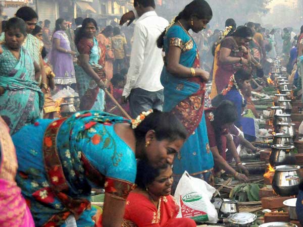 பொங்கல் கொண்டாட்டங்கள்