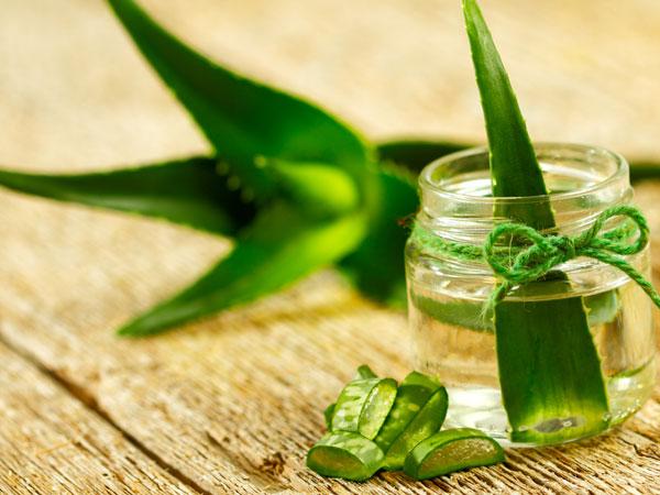 சோத்துக் கற்றாழை ஜெல் சோத்துக் கற்றாழை ஜெல்