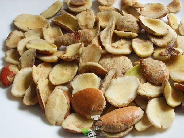 மாங்காய் விதைகள் மாங்காய் விதைகள்