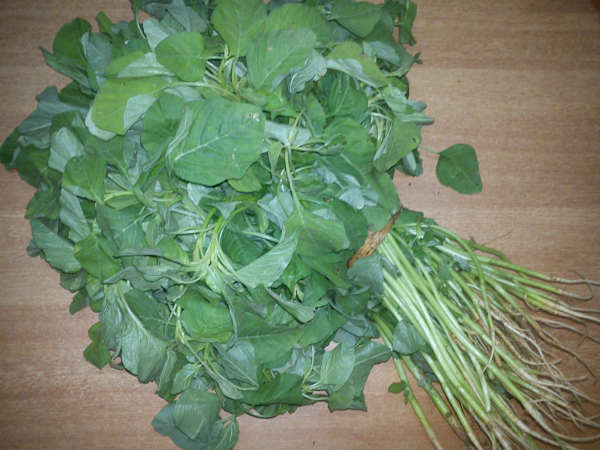 அரைக்கீரை அரைக்கீரை