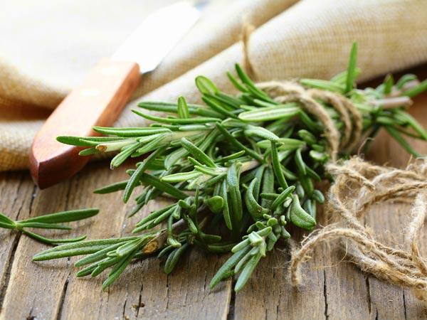 ரோஸ்மேரி