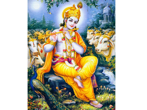 கிருஷ்ணரின் பாத்திரம் 