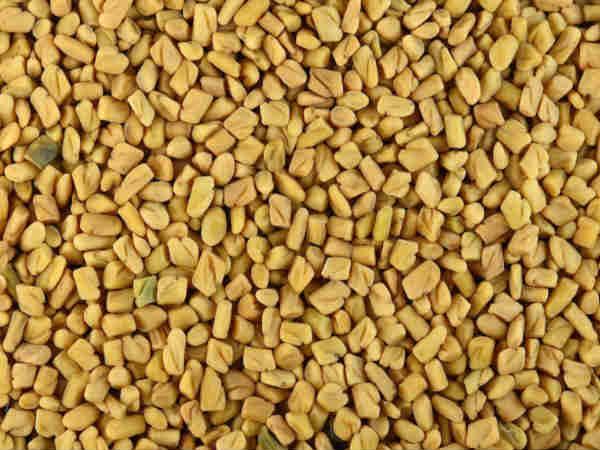 வெந்தயம்