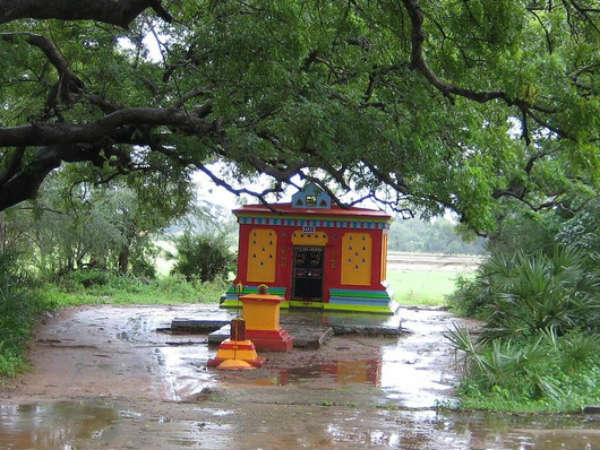 13 தலைமுறைகள் 