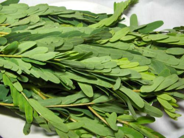 அகத்திக்கீரை அகத்திக்கீரை