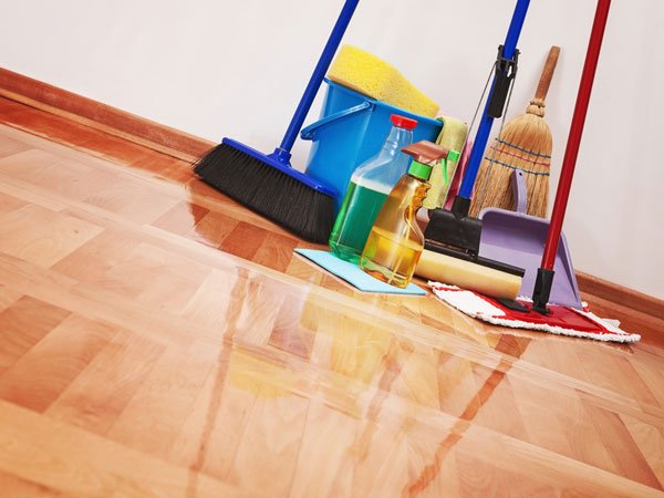 வீட்டை சுத்தப்படுத்தும் பொருட்கள்