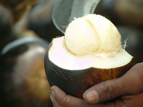 சத்துகள் 