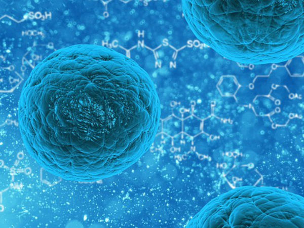 ஸ்டெம்செல் வகைகள்