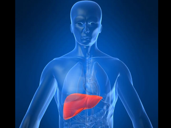 கல்லீரலை பாதுகாக்கும்