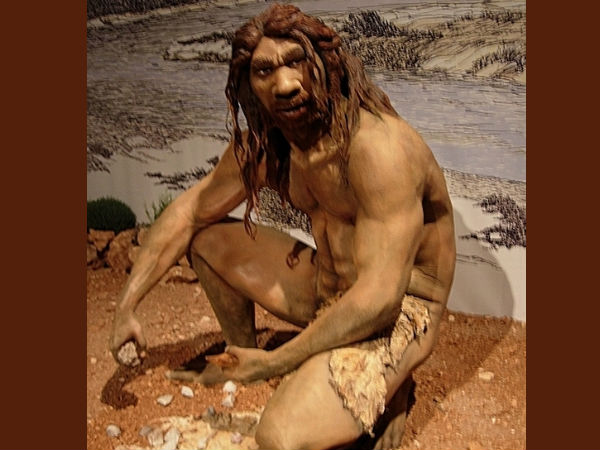 மனித இனத்தின் தோற்றம்