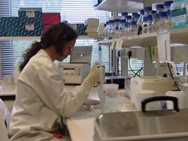 பயோமெட்ரிக் சோதனை