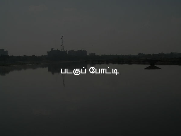 படகுப் போட்டி 