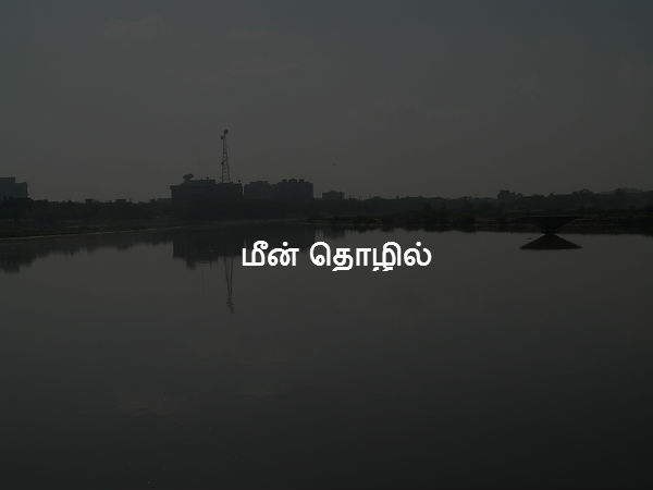 மீன் தொழில் 