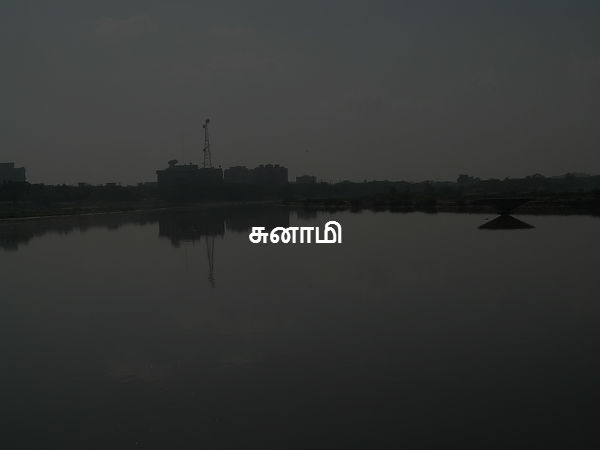 சுனாமி 