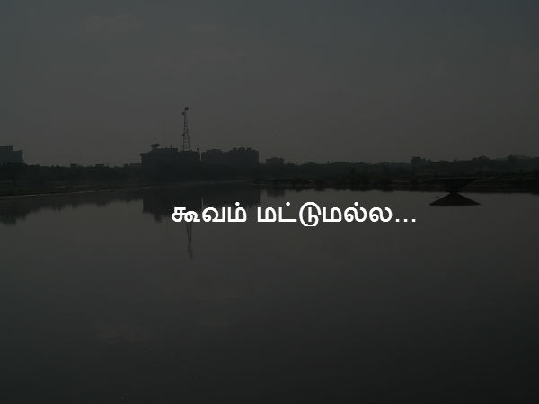 கூவம் மட்டுமல்ல... 