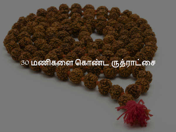 30 மணிகளை கொண்ட ருத்ராட்சை 