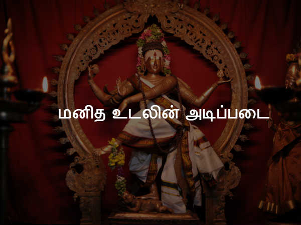 மனித உடலின் அடிப்படை 