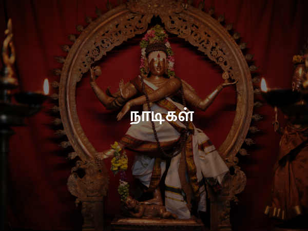 நாடிகள் 