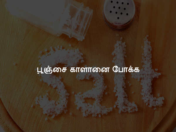 பூஞ்சை காளானை போக்க பூஞ்சை காளானை போக்க