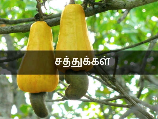 சத்துக்கள் சத்துக்கள்