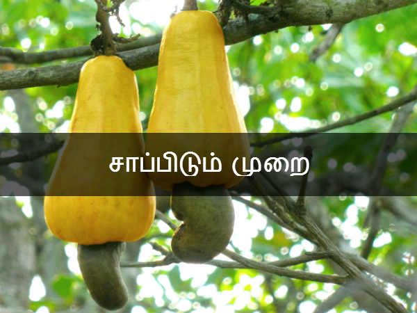 சாப்பிடும் முறை சாப்பிடும் முறை