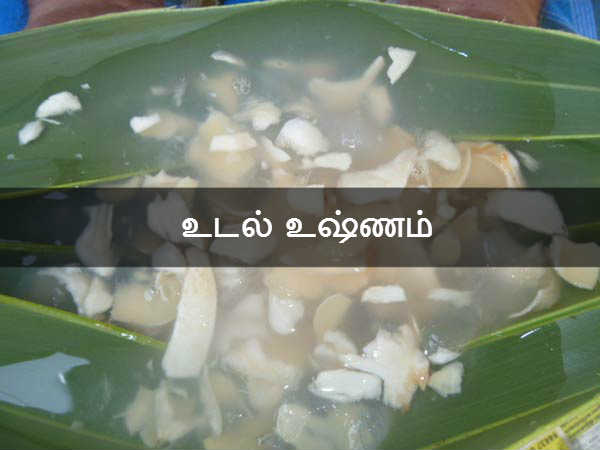 உடல் உஷ்ணம்