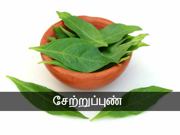 சேற்றுப்புண்