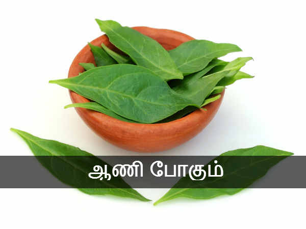 ஆணி போகும்