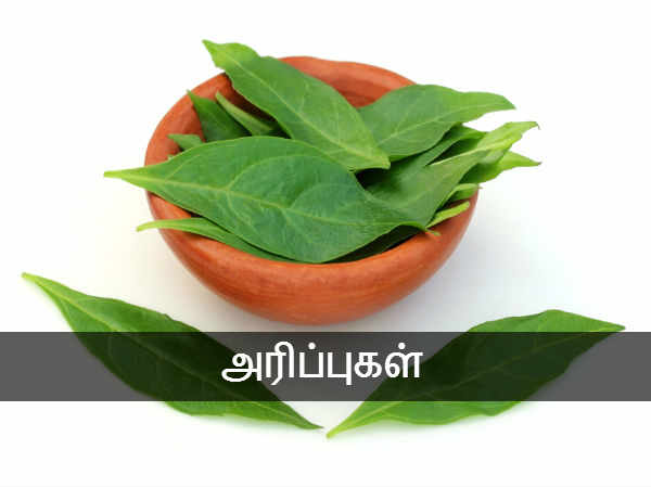 அரிப்புகள்