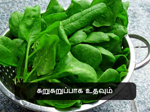 சுறுசுறுப்பாக உதவும் சுறுசுறுப்பாக உதவும்
