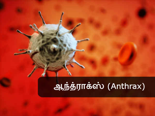 ஆந்த்ராக்ஸ் (Anthrax) 