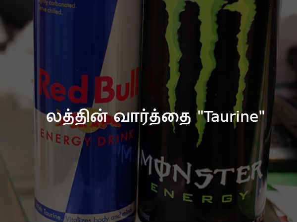 லத்தின் வார்த்தை 