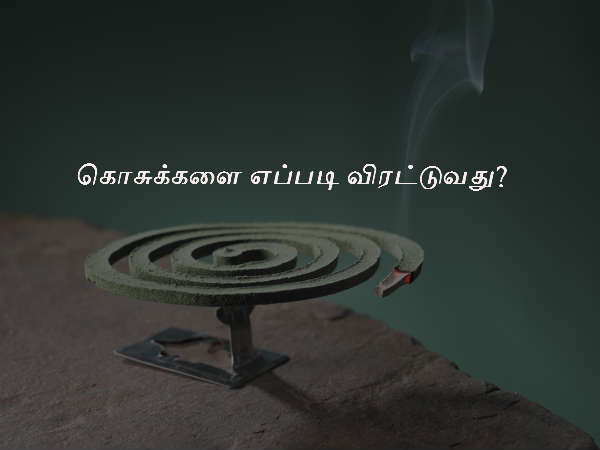 கொசுக்களை எப்படி விரட்டுவது?