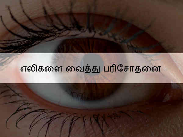 எலிகளை வைத்து பரிசோதனை 