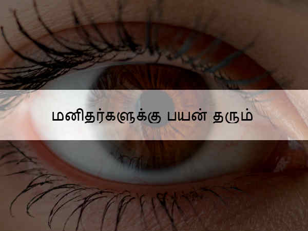 மனிதர்களுக்கு பயன் தரும் 