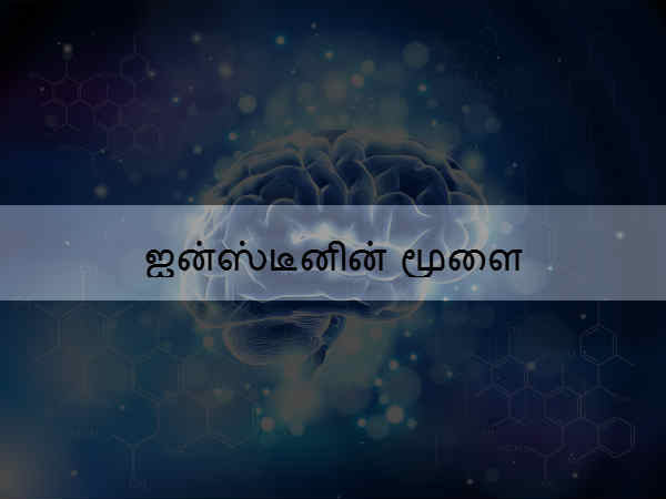 ஐன்ஸ்டீனின் மூளை 