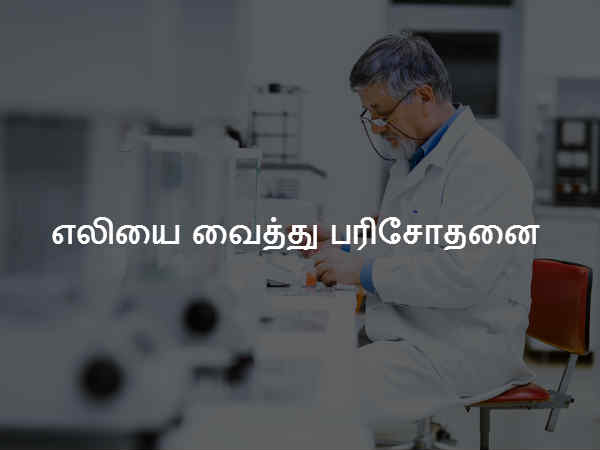 எலியை வைத்து பரிசோதனை