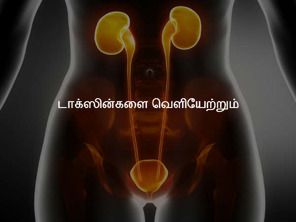 டாக்ஸின்களை வெளியேற்றும்