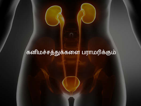 கனிமச்சத்துக்களை பராமரிக்கும்